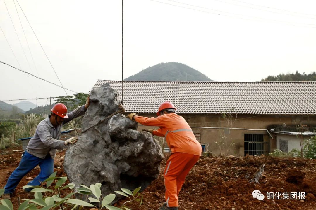 йӵϷ1331(ɷ)޹˾-ٷվ