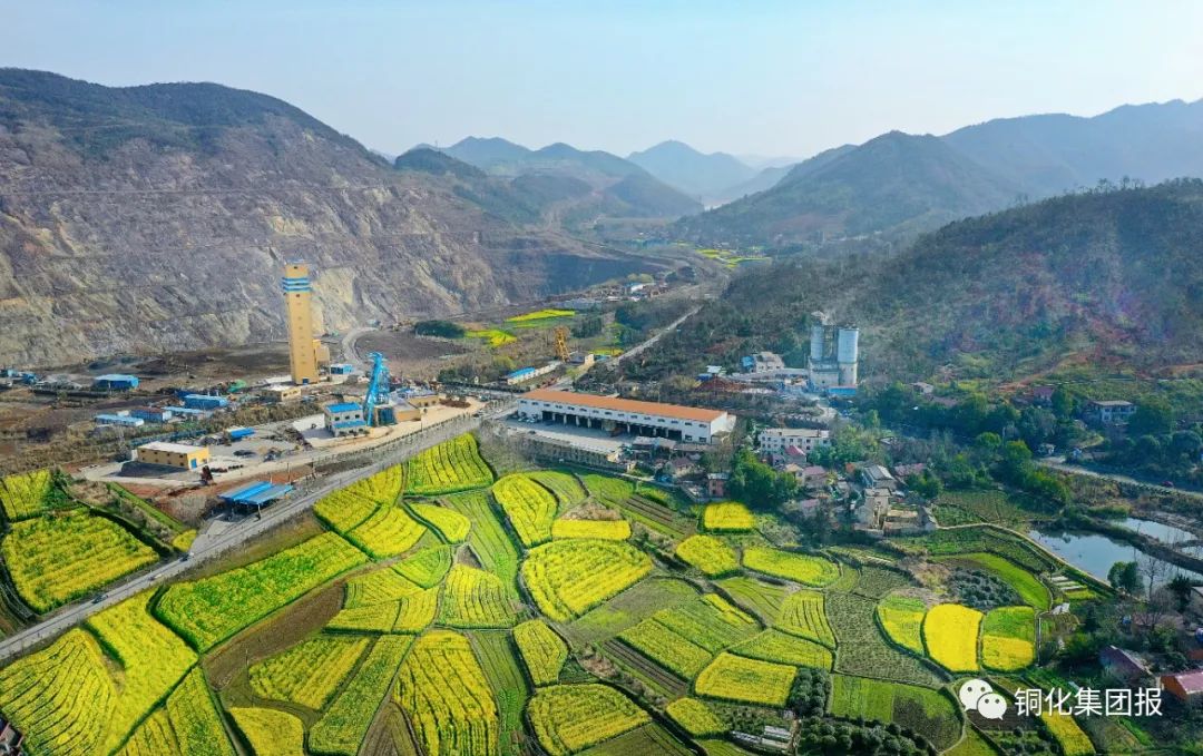 йӵϷ1331(ɷ)޹˾-ٷվ