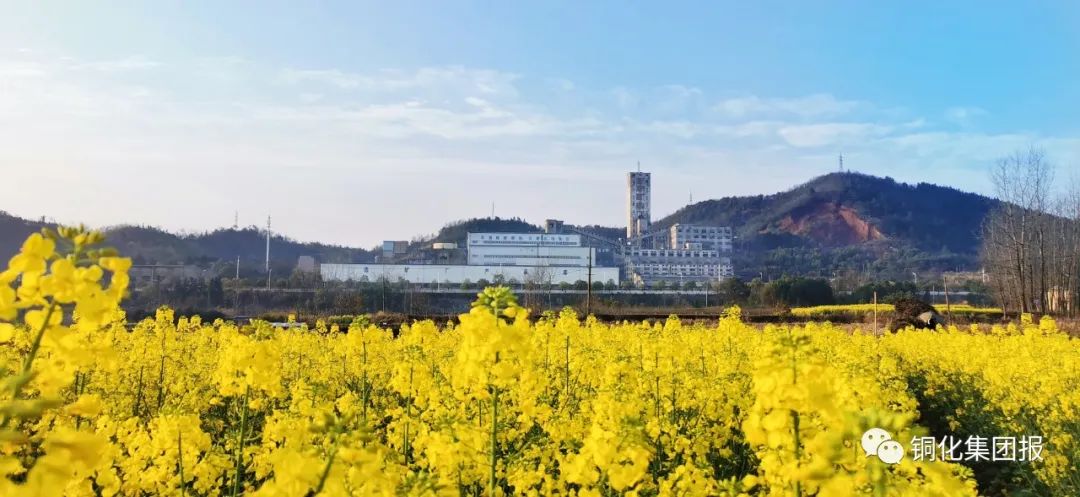 йӵϷ1331(ɷ)޹˾-ٷվ