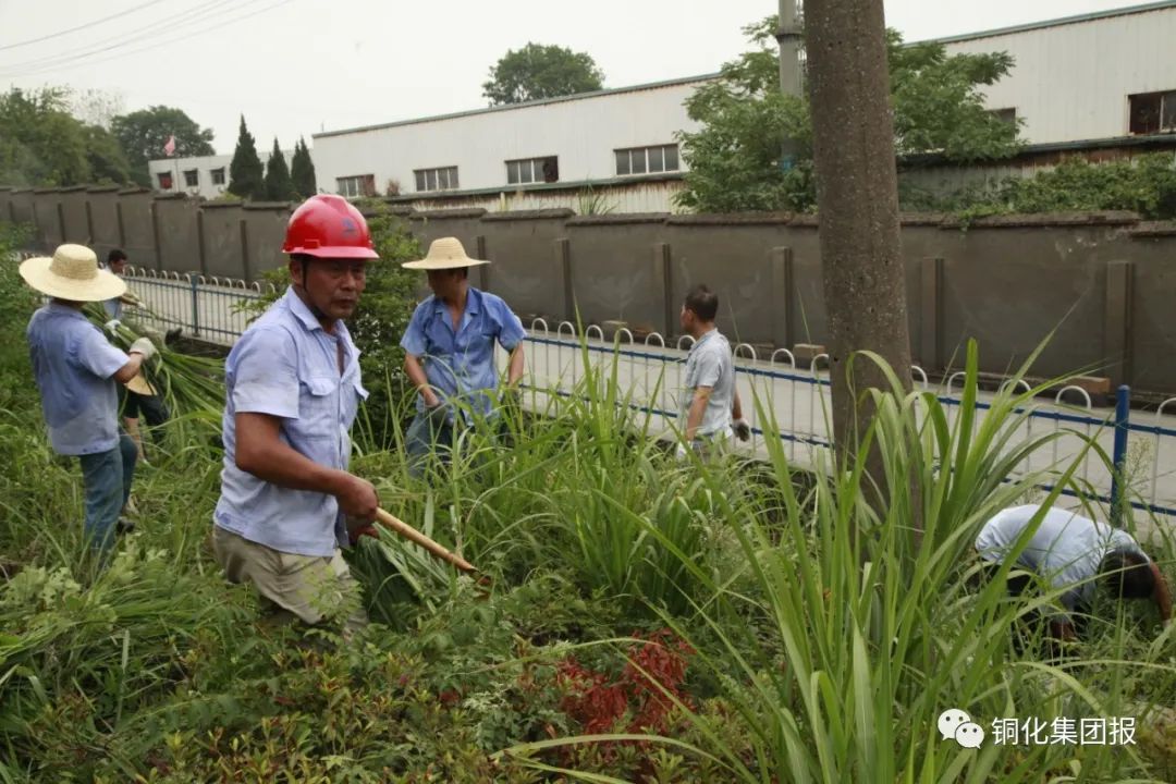 йӵϷ1331(ɷ)޹˾-ٷվ