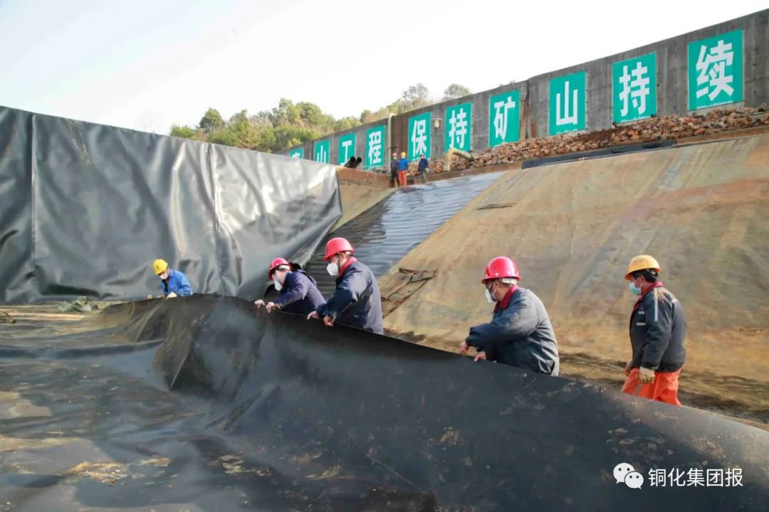 йӵϷ1331(ɷ)޹˾-ٷվ