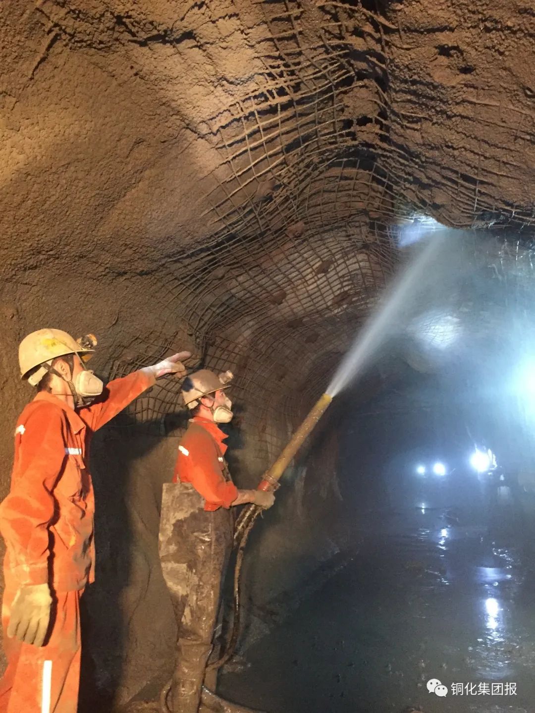 йӵϷ1331(ɷ)޹˾-ٷվ