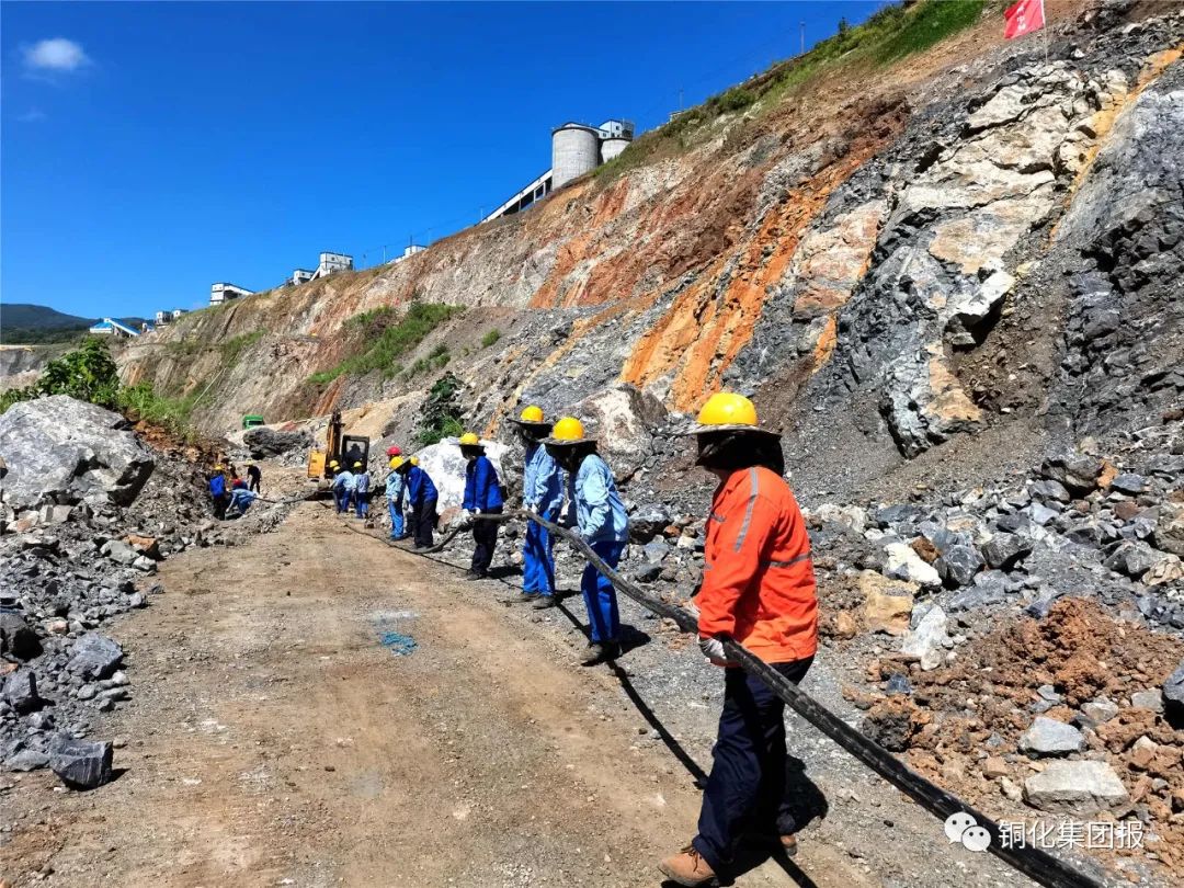 йӵϷ1331(ɷ)޹˾-ٷվ