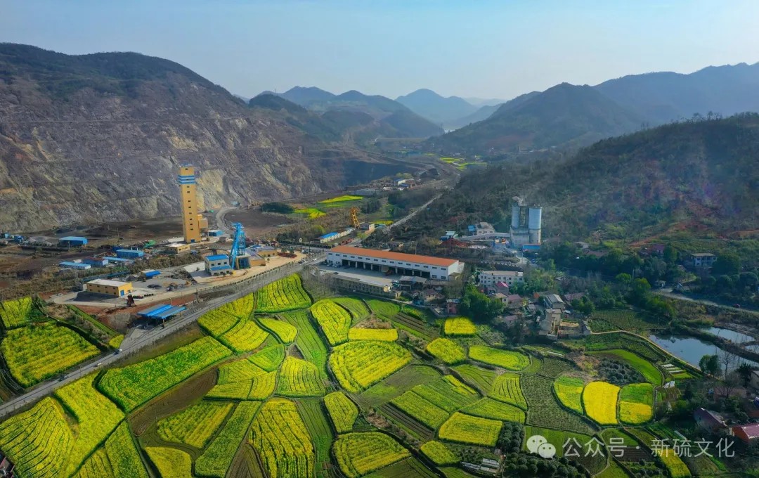 йӵϷ1331(ɷ)޹˾-ٷվ