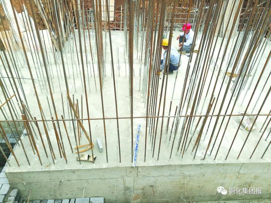 йӵϷ1331(ɷ)޹˾-ٷվ