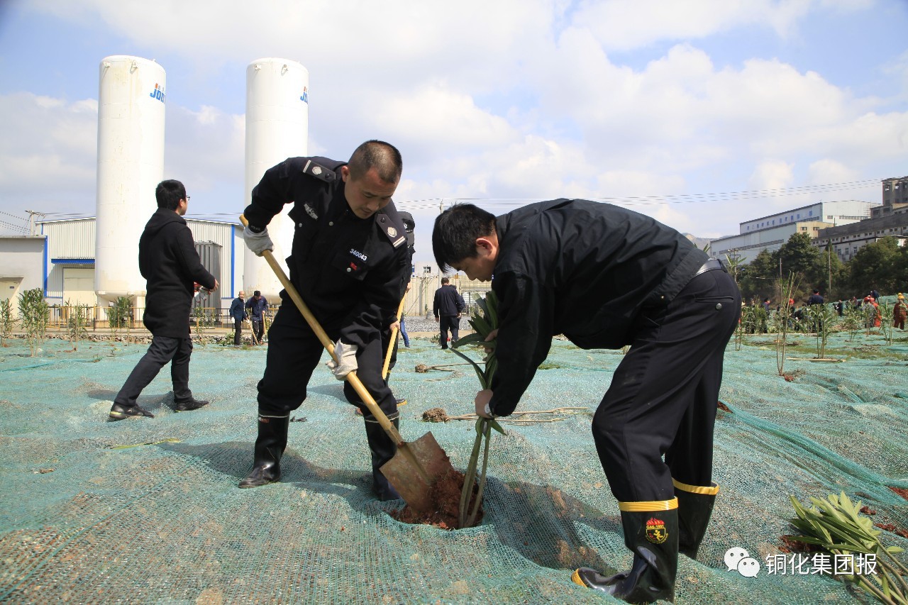 йӵϷ1331(ɷ)޹˾-ٷվ